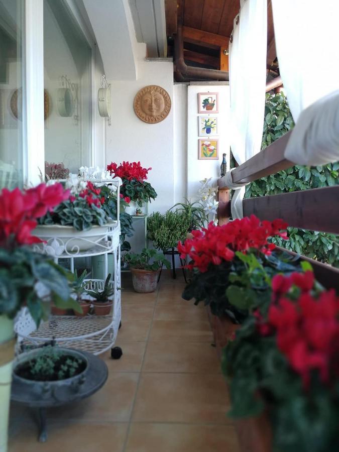 Casa Di Amici * Campagnano Di Roma